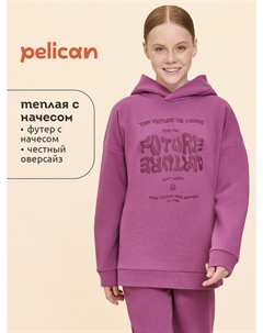 Толстовка Pelican