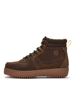 Треки Salamander