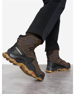 Ботинки мужские Quest Element GTX, Коричневый Salomon