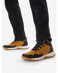 Ботинки утепленные мужские Reisen Mid, Бежевый Northland