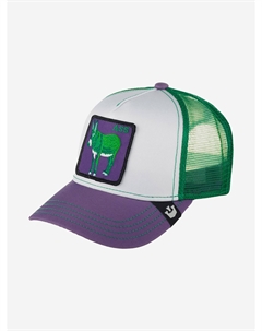 Бейсболка с сеточкой 101-1012 (фиолетовый), Фиолетовый Goorin brothers