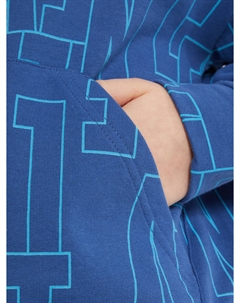 Худи для мальчиков, Синий Demix