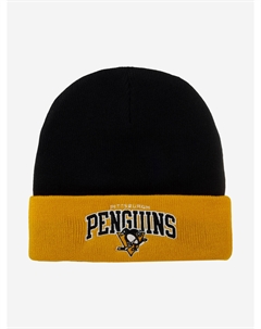 Шапка с отворотом MITCHELL NESS EU349-ARCHED-BLK Pittsburgh Penguins NHL (черный), Черный Mitchell and ness