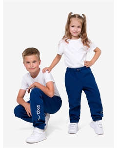 Демисезонные брюки для детей В19053Ф Темно-синий, Синий Sherysheff