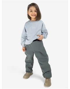 Брюки Softshell демисезонные, Серый Bungly