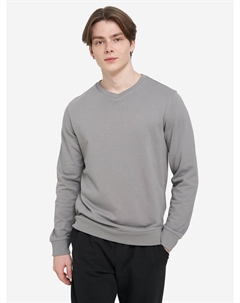 Свитшот мужской, Серый Gsd