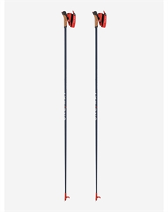 Палки для беговых лыж Storm 5 MAG, Синий One way