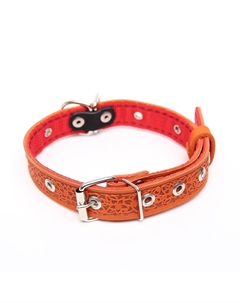 Ошейник кожаный усиленный капроном с полукольцом, 55 х 2,5 см, ош 27-53 см, рыжий Пижон