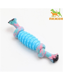 Игрушка жевательная Пижон