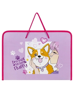 Папка для труда с ручками Акита Пифагор