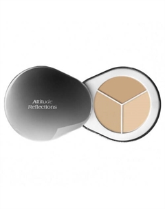 Консилер для лица Perfect Cover Concealer Palette Dr.althea