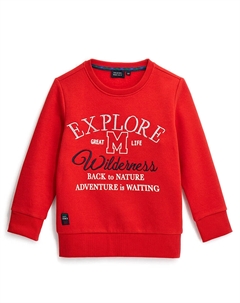 Свитшот для мальчика Original marines