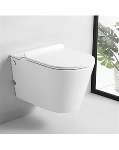 Унитаз подвесной импульсный Argentera Aria Pulse CT10590 безободковый, с сиденьем микролифт, белый Ceruttispa