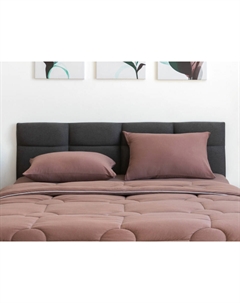 Наволочка Комплект наволочек Sense (Хлопок Мокко) 50x70 Орматек