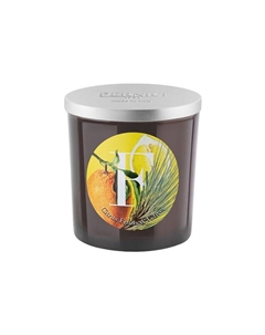 Свеча аромат Citrus Fruits & Vetiver (350g) Pernici
