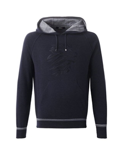 Худи из шерсти и шелка Zilli