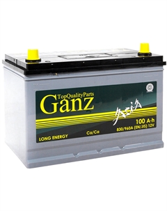 Автомобильный аккумулятор Asia 100 Ач прямая полярность D31L Ganz