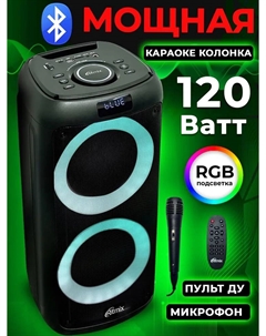 Портативная акустика Ritmix SP-875B , 120 Вт, FM, AUX, USB, microSD, Bluetooth, подсветка, черный (SP-875B )