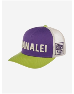 Бейсболка с сеточкой 45050A-HANA Hanalei Palmer (фиолетовый), Фиолетовый American needle