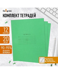 Набор тетрадей 12 листов в косую линейку Calligrata