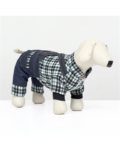 Комбинезон men, размер xs (дс 20 см, ог 30 см, ош 20 см), синий Nobrand