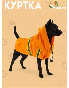 Куртка для собак с подкладом, размер l (дс 35, ог 47 см, вес 6-10 кг), оранжевая Пижон