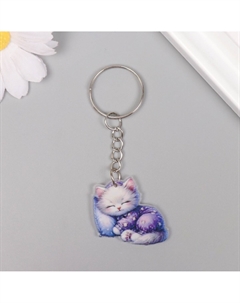 Брелок для ключей на кольце Nobrand