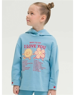 Толстовка Pelican