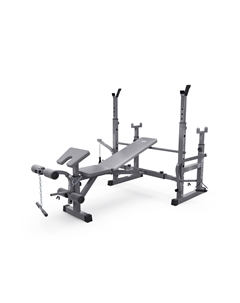 Скамья со стойками под штангу D707 Dfc