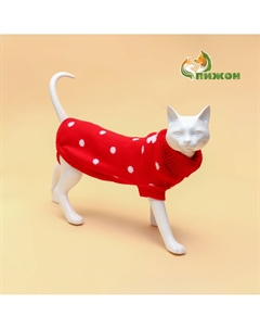 Свитер для животных Пижон