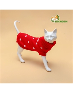 Свитер для животных Пижон