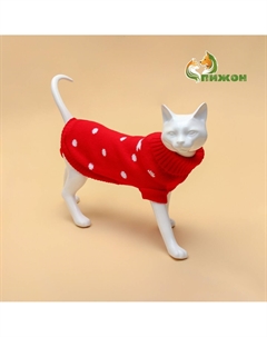 Свитер для животных Пижон