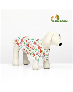 Толстовка для животных Nobrand