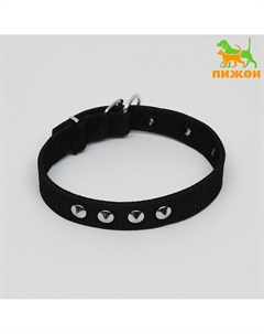 Ошейник клепаный, 45×2.5 см, ош 32-40 см, полиэстер, черный Пижон