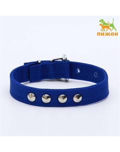 Ошейник для животных Пижон