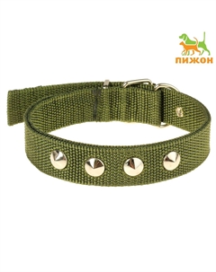 Ошейник клепаный, 46 х 2.5 см, ош 32-40 см, полиэстер, темно-зеленый Пижон