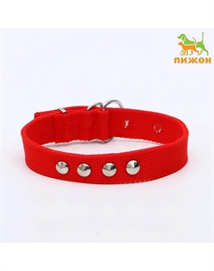 Ошейник для животных Пижон