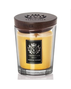 Свеча Тропическое путешествие Tropical Voyage 225 Vellutier
