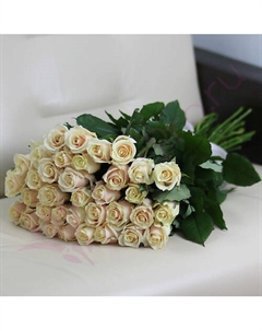 35 кремовых роз Талея 80 см Florpro