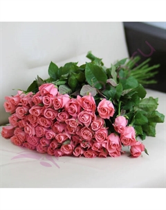 51 розовая роза Анна Карина 60 см Florpro