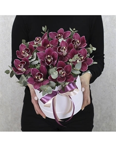 11 бордовых орхидей с эвкалиптом в коробке "Винные бабочки" Florpro