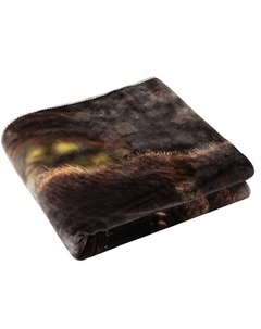 Плед с принтом 200x220 Bear Family Arya home collection