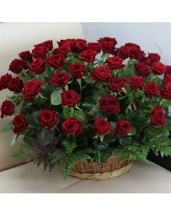 51 красная роза в корзине с зеленью Florpro