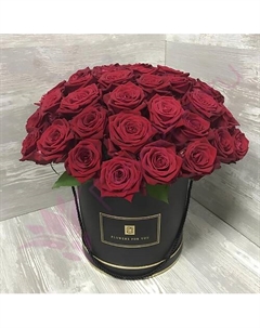 51 красная роза Ред Наоми в черной шляпной коробке Florpro