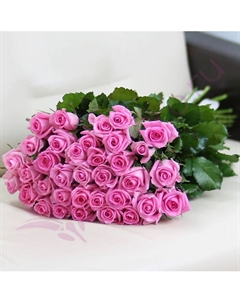 35 розовых роз Ревиваль 60 см Florpro