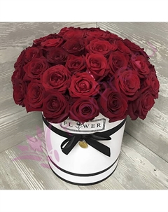 51 красная роза Ред Наоми в белой шляпной коробке Florpro