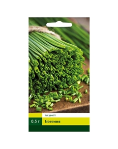 Семена Лук шнитт Богемия 0,5г Северный огород