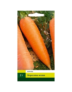 Семена Морковь Королева осени 2г Северный огород