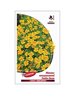 Семена Тагетес тонколистный Голден джем 0,3г Агрони