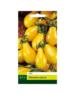 Семена Томат Медовая капля 0,1г Северный огород